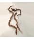 Arbol milenario para acuario | Decoración natural  para acuarios | Acuario Plantado