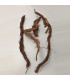 Arbol milenario para acuario | Twisted Root N89 | Acuario Plantado
