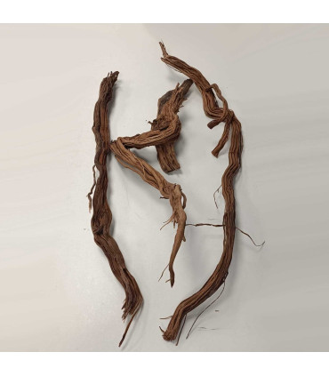 Arbol milenario para acuario | Twisted Root N89 | Acuario Plantado