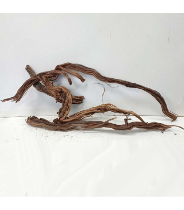 Arbol milenario para acuario | Twisted Root N89 | Acuario Plantado