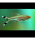 Pez de acuario Rasbora Trilineata