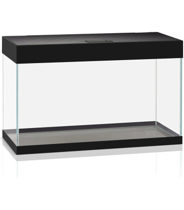 Acuario Wio 30P | Urnas para Aquascaping | Acuario Plantado