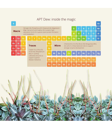 Abono 2HR APT Dew | Abono para plantas terrario | Acuario Plantado