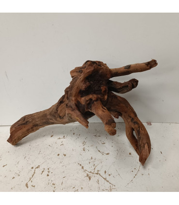 Driftwood para acuario 422 | Maderas para acuario | Acuario Plantado