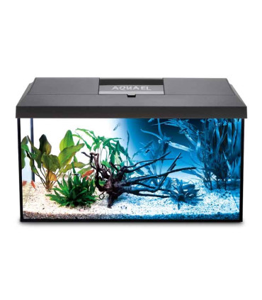 Kit acuario Leddy 60 Aquael | Acuarios Aquael | Aquário Plantado