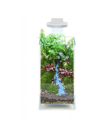 Wabikusa Air | Terrarios Chihiros | Acuario Plantado