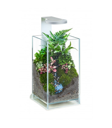 Wabikusa Air | Terrarios Chihiros | Acuario Plantado