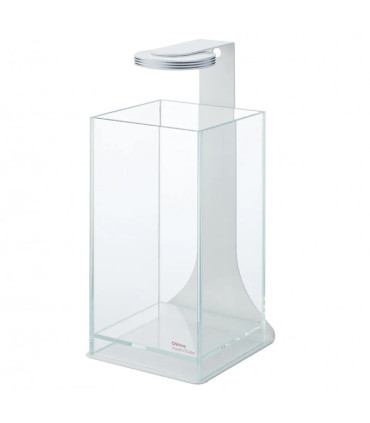 Wabikusa Air | Terrarios Chihiros | Acuario Plantado