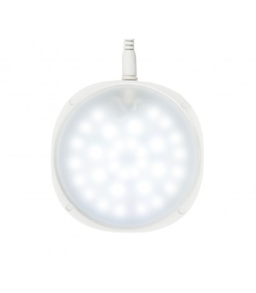 Wabikusa Air | Terrarios Chihiros | Acuario Plantado