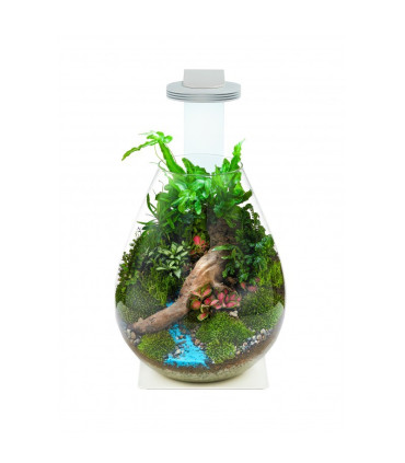 Wabikusa Pot | Terrarios Chihiros | Acuario Plantado