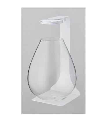 Wabikusa Pot | Terrarios Chihiros | Acuario Plantado