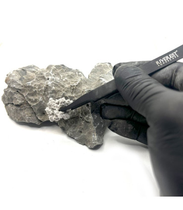 Compuesto fusion gris | Material para hardscape | Acuario plantado