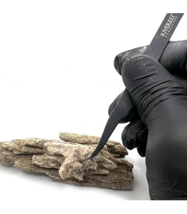 Composto de fusão marrom | Material de paisagismo rígido | aquário plantado