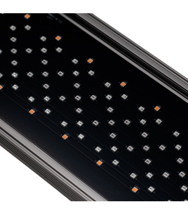 Twinstar RGB IV 1200SA | Pantalla led plantas acuario | Acuario Plantado