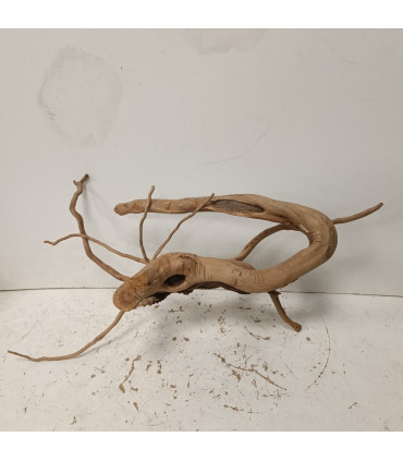 Raiz Roja para acuario | Redmoore 1347| Acuario Plantado