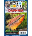 Pacote Dáfnias Congeladas Exopet - 5x100gr