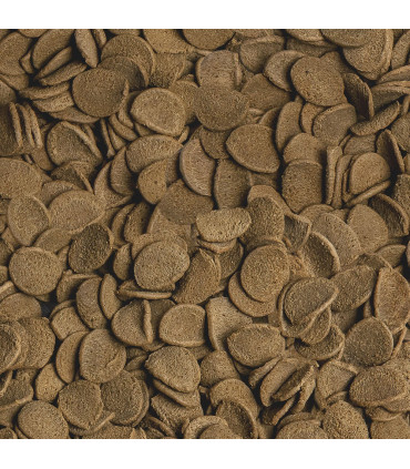 Sera Vipachips Wafers 100 | Alimento para peces de fondo | Acuario plantado