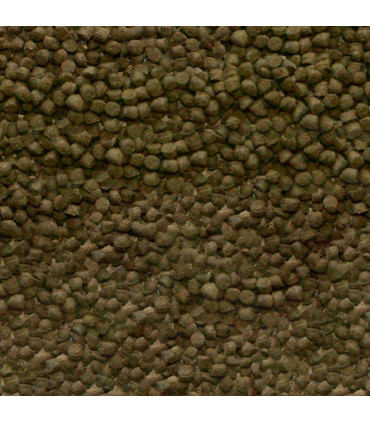 Sera Shrimp Granules | Alimento para gambas | Acuario Plantado