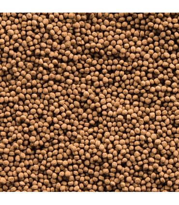 Sera Goldfish Granules 250 | Comida granulada peces agua fria | Acuario Plantado