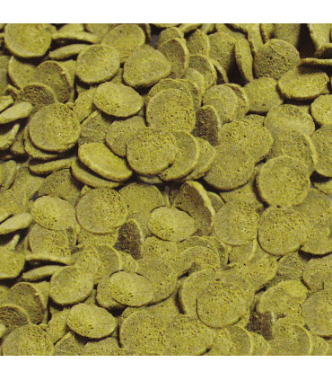 Sera Pleco Chips 250 | Alimento para plecos y ancistrus | Acuario Plantado