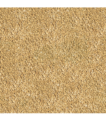 Sera Bettagran Granules 100 | Granulado para bettas | Acuario Plantado