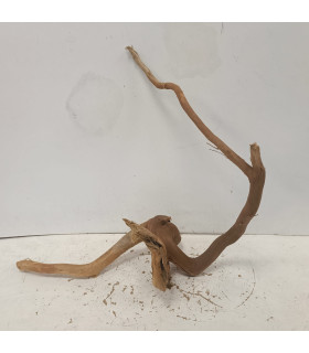 Raiz Roja para acuario | Redmoore 1395| Acuario Plantado