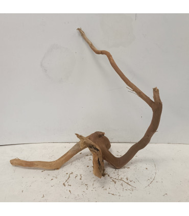 Raiz Roja para acuario | Redmoore 1395| Acuario Plantado