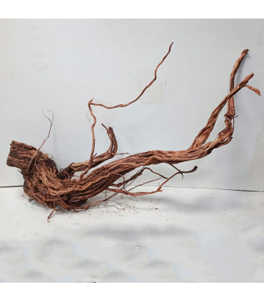 Arbol milenario para acuario | Twisted Root N94 | Acuario Plantado