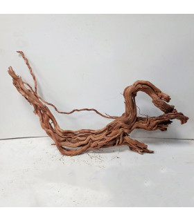 Arbol milenario para acuario | Twisted Root N95 | Acuario Plantado