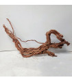 Arbol Milenario - Nº95
