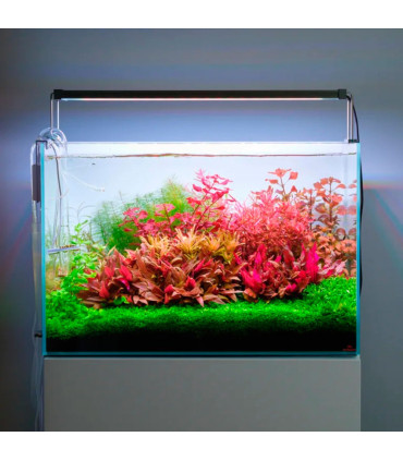 Twinstar RGB V 1200S | Pantalla led plantas acuario | Acuario Plantado
