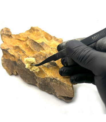 Compuesto fusion Amarillo | Material para hardscape | Acuario plantado