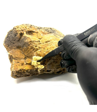 Composto de fusão amarelo | Material de paisagismo rígido | aquário plantado
