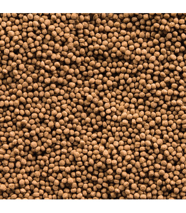 Sera Goldfish Granules 100 | Comida granulada peces agua fria | Acuario Plantado