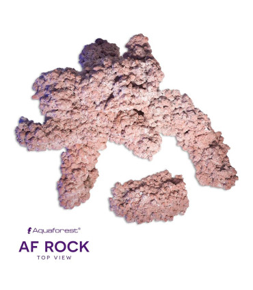 Rocha para Aquaforest | Rocha para Aquário Marinho | Aquário Plantado