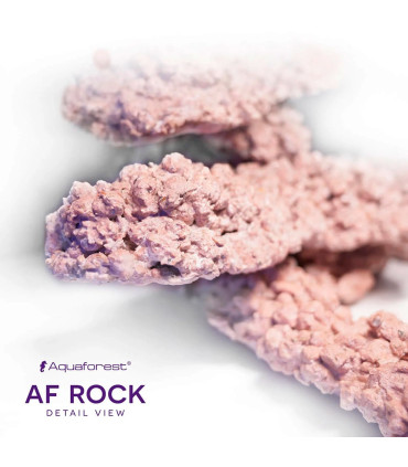 Rocha para Aquaforest | Rocha para Aquário Marinho | Aquário Plantado