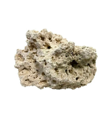 Roca Muerta ocean Dry | Roca acuario marino | Acuario plantado