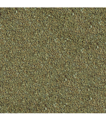 Sera Guppy Granules 100 | Alimento granulado para guppies | Aquário plantado