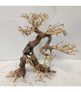 Bonsai para acuario 292 | Maderas para acuario | Acuario Plantado