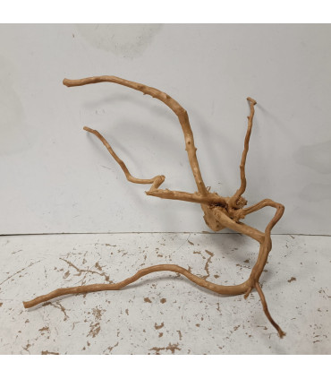 Raiz Vermelha para aquário 1452 | Decoração natural para aquários | Aquário Plantado