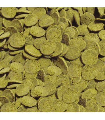 Sera Pleco Chips 100 | Alimento para plecos y ancistrus | Acuario Plantado