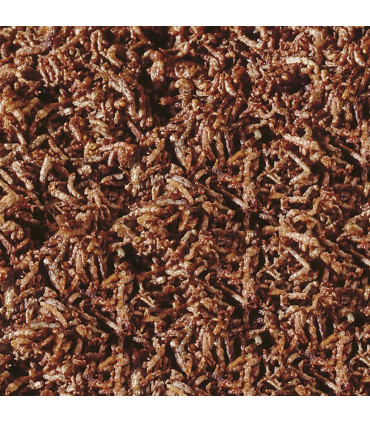 Sera Larva mosquito Snack | Golosinas peces | Acuario Plantado