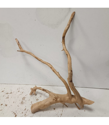 Raiz Vermelha para aquário 1463 | Decoração natural para aquários | Aquário Plantado
