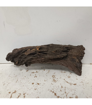 Driftwood para acuario 517 | Maderas para acuario | Acuario Plantado