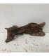 Driftwood para aquário 521 | Madeiras para aquário | Acuario Plantado