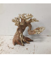 Bonsai tamanho S - Nº315