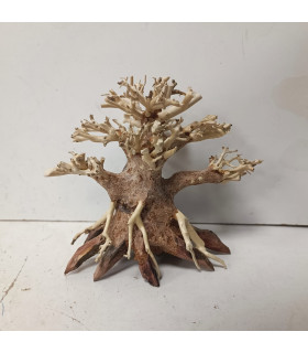 Bonsai tamanho S - Nº316