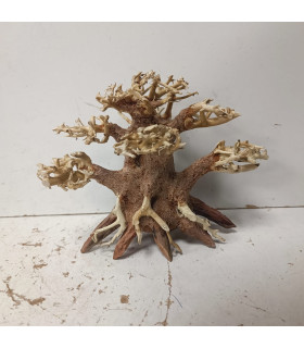 Bonsai para aquário 314 | Madeiras para aquário | Aquário Plantado