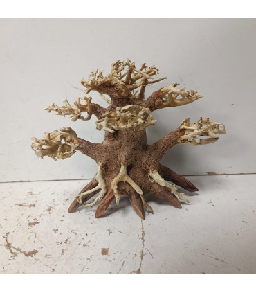 Bonsai para acuario 314 | Maderas para acuario | Acuario Plantado