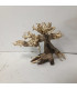 Bonsai para aquário 317 | Madeiras para aquário | Aquário Plantado
